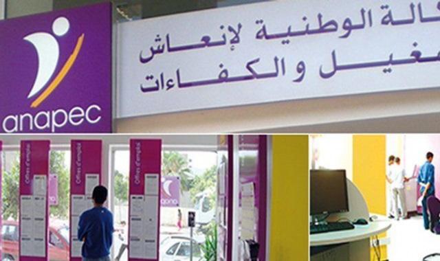 Anapec : Un Partenaire Clé pour Réduire le Chômage des Jeunes au Maroc