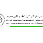 Concours APESA 2025-2026 : Devenez ingénieur ou vétérinaire avec l’IAV Hassan II !