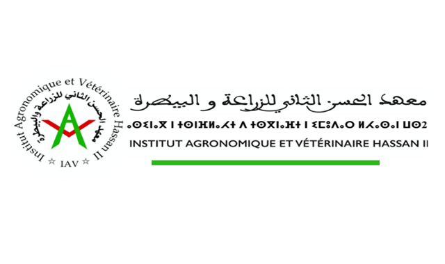 Concours APESA 2025-2026 : Devenez ingénieur ou vétérinaire avec l’IAV Hassan II !